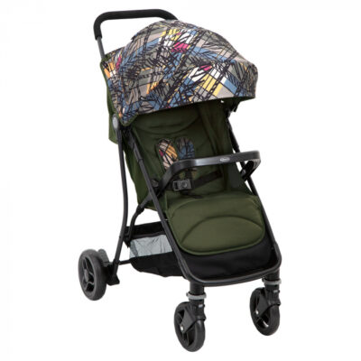 Carucior Graco Breaze Lite 2 Couture Fern