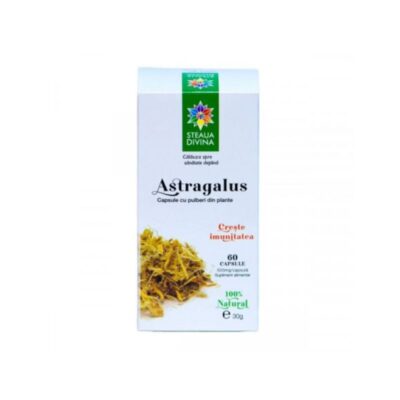 Astragalus