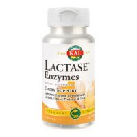 Secom Lactase Enzymes